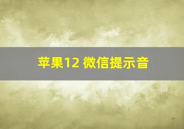 苹果12 微信提示音